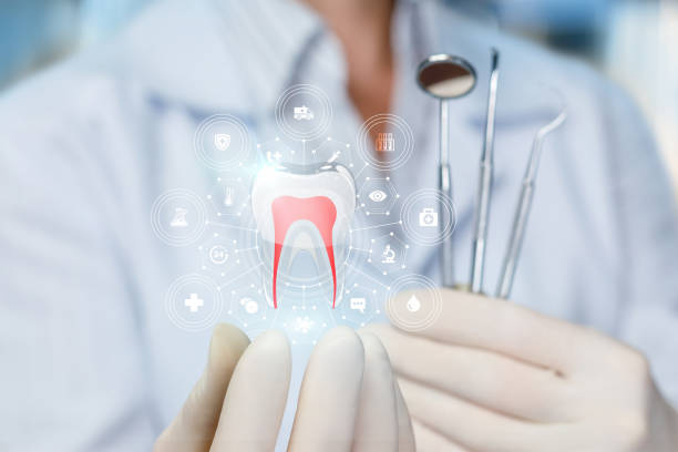 Best Dental Exams and Cleanings  in Frederickson, WA